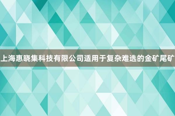 上海惠晓集科技有限公司适用于复杂难选的金矿尾矿